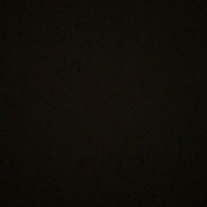 Meet your Posher, Lily